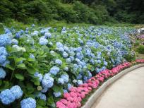 DSCN5486.JPG