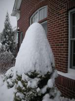 DSCN4476.JPG
