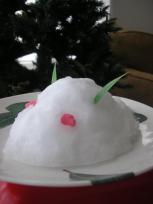 DSCN4547.JPG