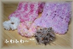 IMG_4252.jpg