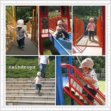 公園　