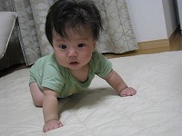 IMG_1017.jpg