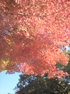 2010-11-11 15:11:30