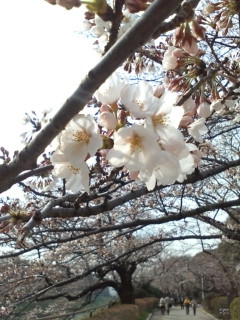 2010-03-31 09:21:03