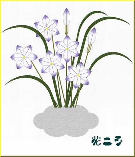 花にら