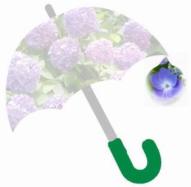 雨傘