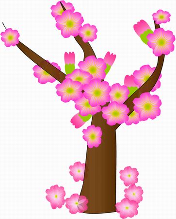 桜