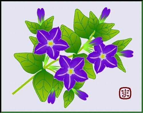 ペチュニア
