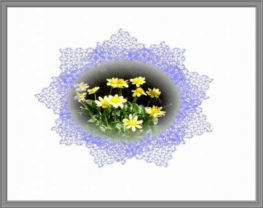 レースの花