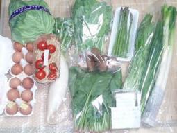 野菜セット