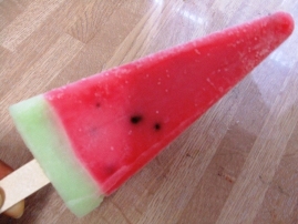 suica725_2.JPG