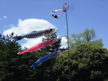 koinobori02.JPG