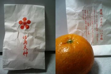 愛媛いよかん　いい予感１