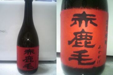 赤鹿毛（あかかげ）