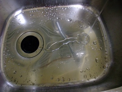 2011_11280013.jpg