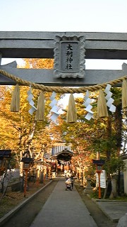 オオトシ神社.jpg