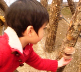 コピー ～ DSC09234.JPG