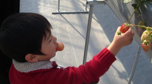 コピー ～ DSC09267.JPG