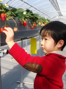 コピー ～ DSC09279.JPG