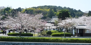 コピー ～ P1080847.JPG