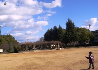 コピー ～ DSC08906.JPG