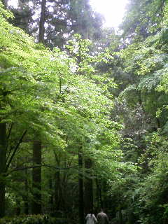 080511_1338~01.JPG