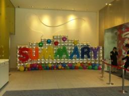 SUMMARY2010