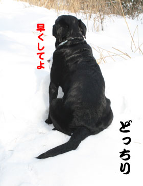 yuki1.JPG