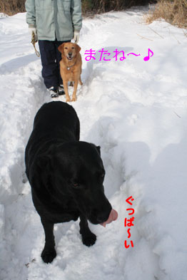 yuki5.JPG