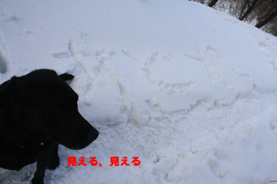 yuki6.JPG