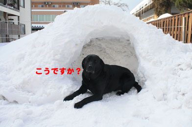 yuki10.JPG