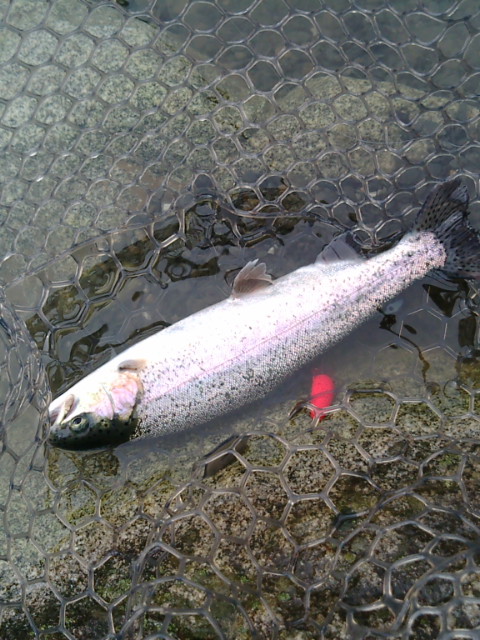 BIGROCK釣行