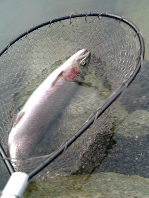 BIGROCK釣行