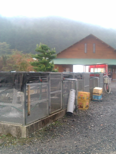 BIGROCK釣行