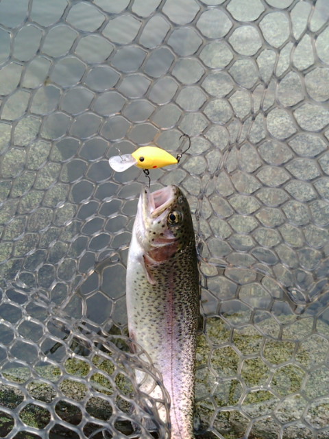 BIGROCK釣行