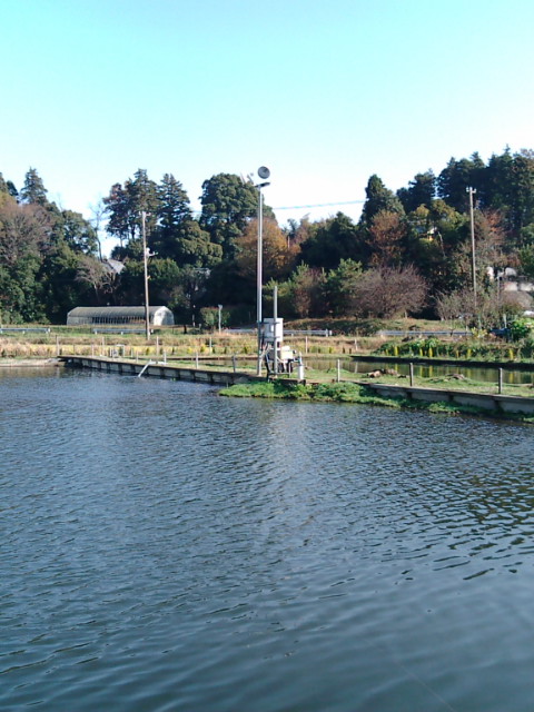座間養魚場
