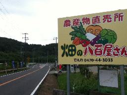 167.jpg