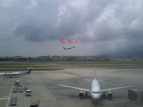 ANA便.jpg