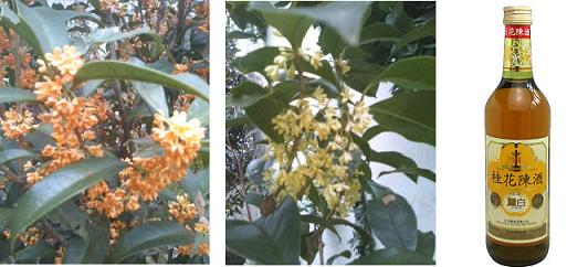 桂花の香り 金木犀と銀木犀 緑陰万華鏡通信 楽天ブログ