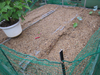 20091002　ブロックで囲う