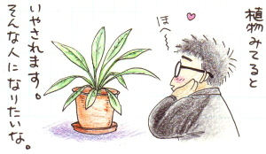 plants.jpg