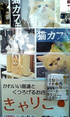 10.01.01 猫ｶﾌｪ