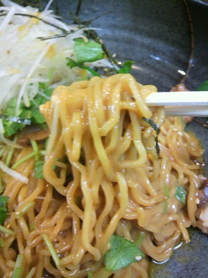 2010_1211_123223-P1000012 - コピー.JPG