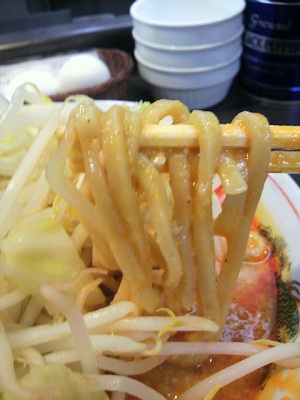 2010_1201_122515-P1000066 - コピー.JPG