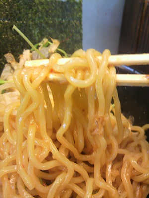 2010_1215_123803-P1000095 - コピー.JPG