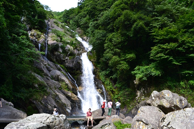 DSC_0725.jpg