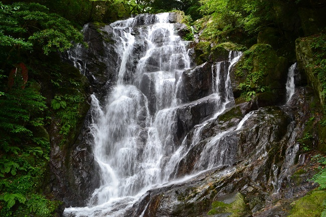 DSC_0585.jpg