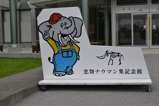 DSC_0408.jpg
