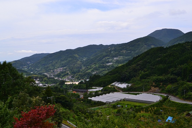 DSC_0705.jpg