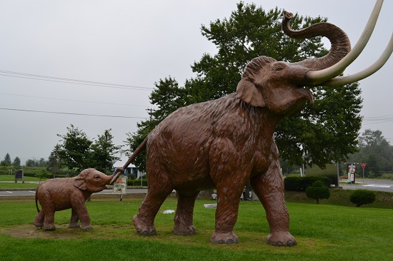 DSC_0416.jpg